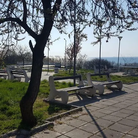 Tvardica *
